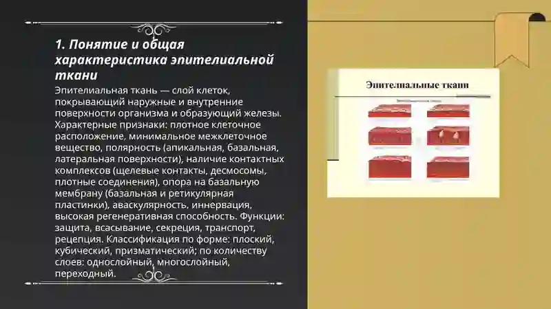 Эпителиальные ткани 3