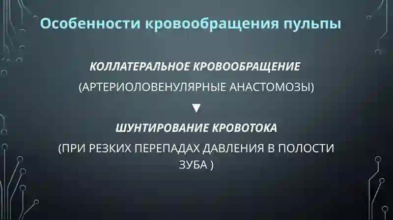 Пульпа. Строение, функции. Возрастные изменения.Пульпит, этиология, патогенез, классификация 3