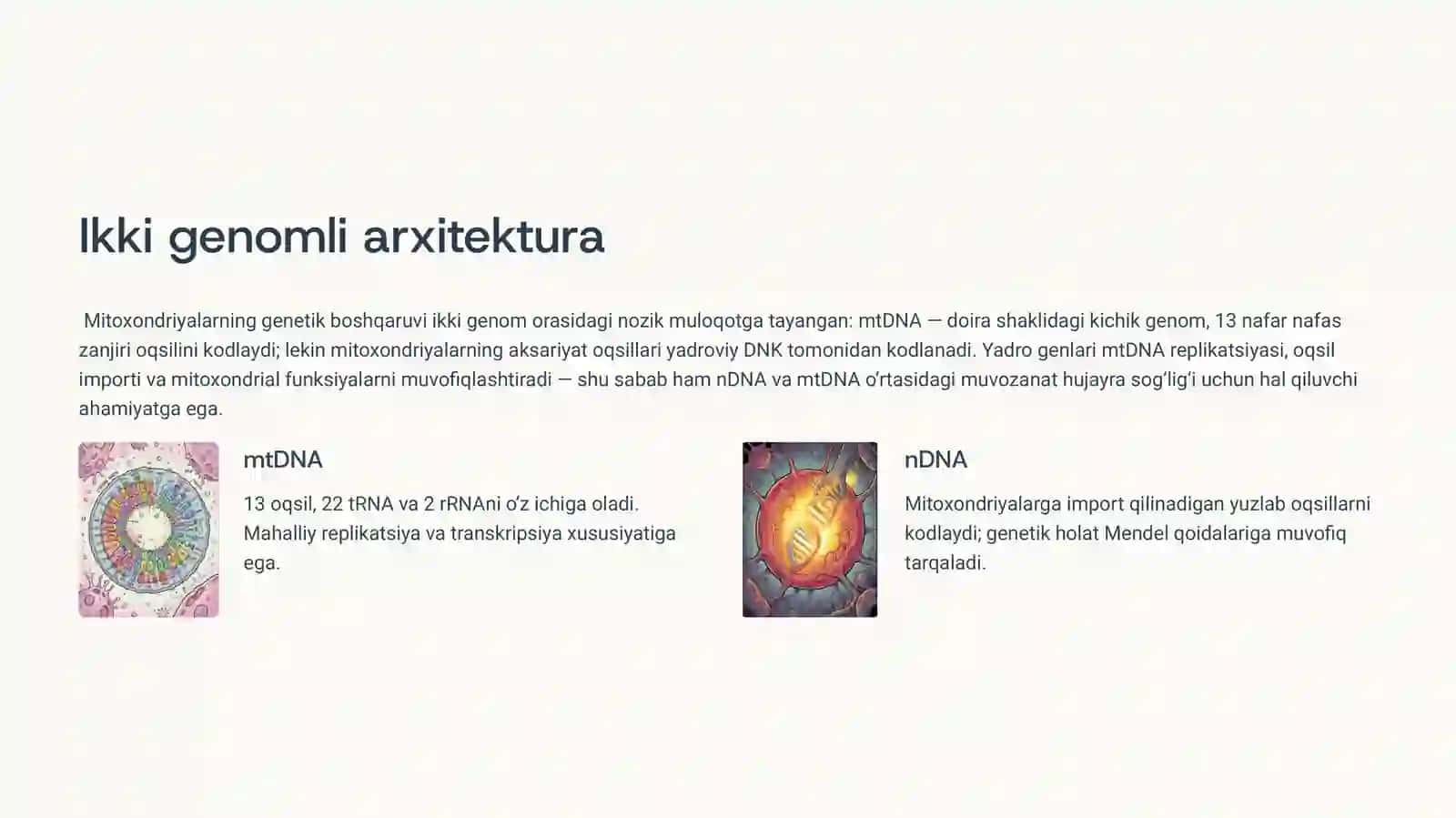 Mitoxondrial kasalliklar huujayra ichidagi energetik inqiroz 3
