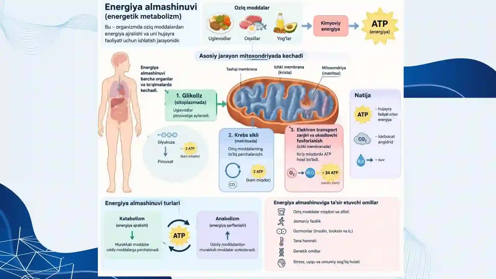 ENERGIYA ALMASHINUVI BOSHQARILISHI 3