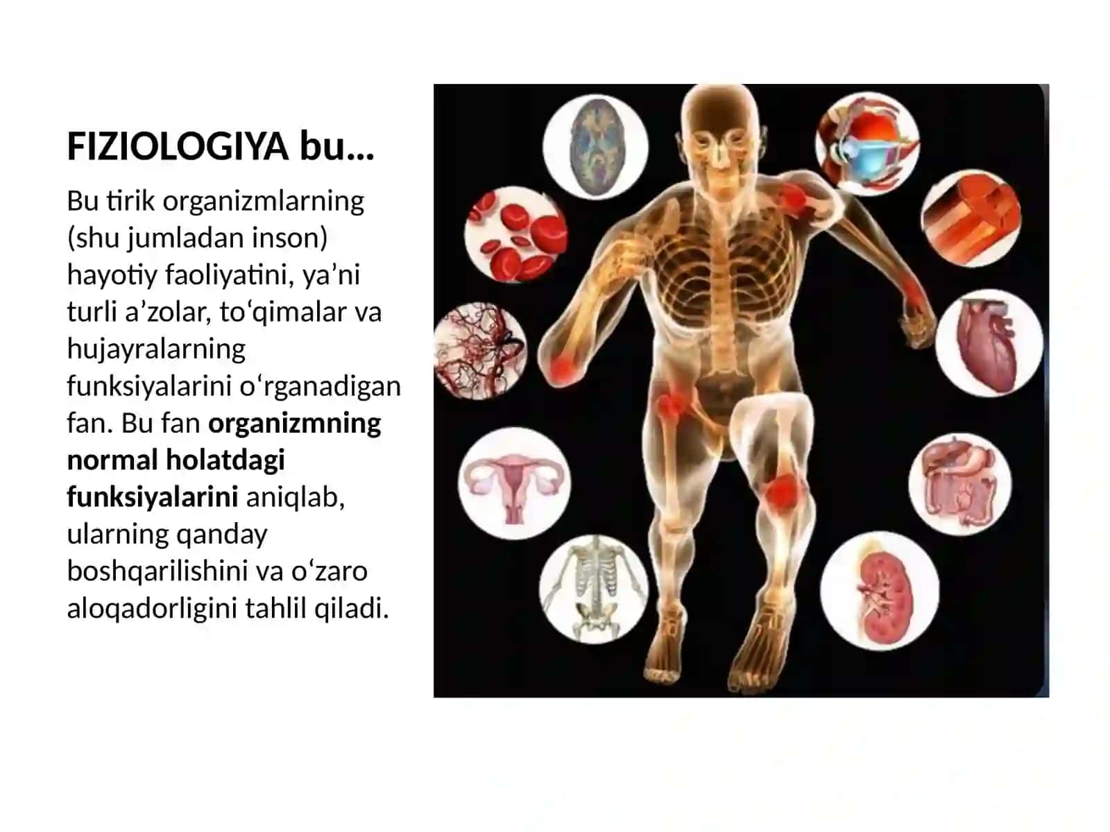 Fiziologiya fani,rivojlanishi,tibbiyotda ahamiyati.Organizmda funksiyalarning boshqarilishi.Organizm 3
