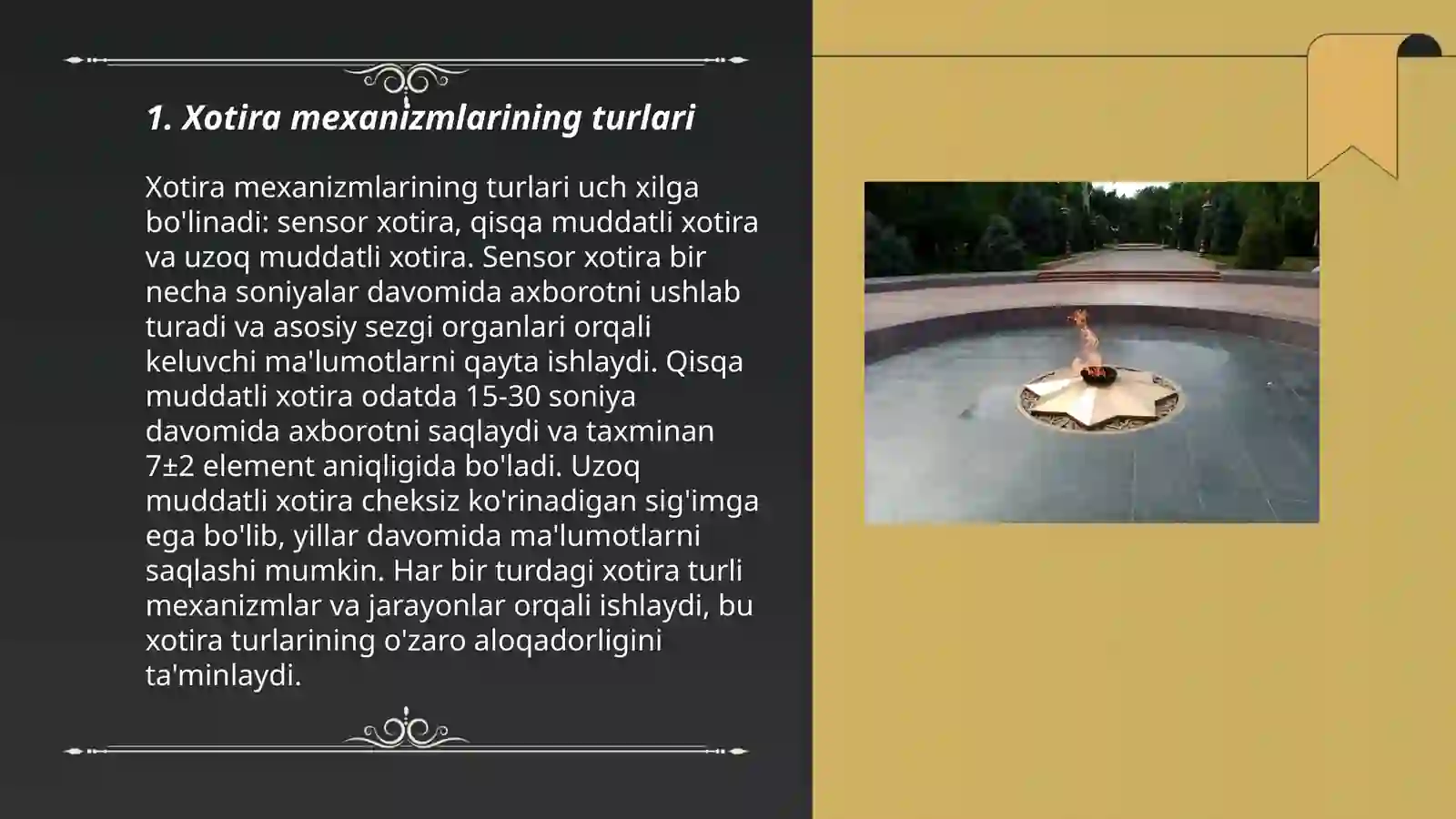 Absottorova Nozila 3