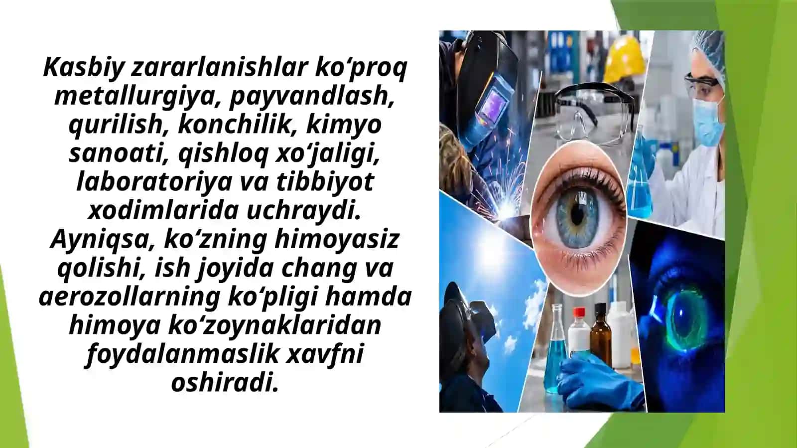 Shox pardaning kasbiy zararlanishi va uning profilaktikasi 3