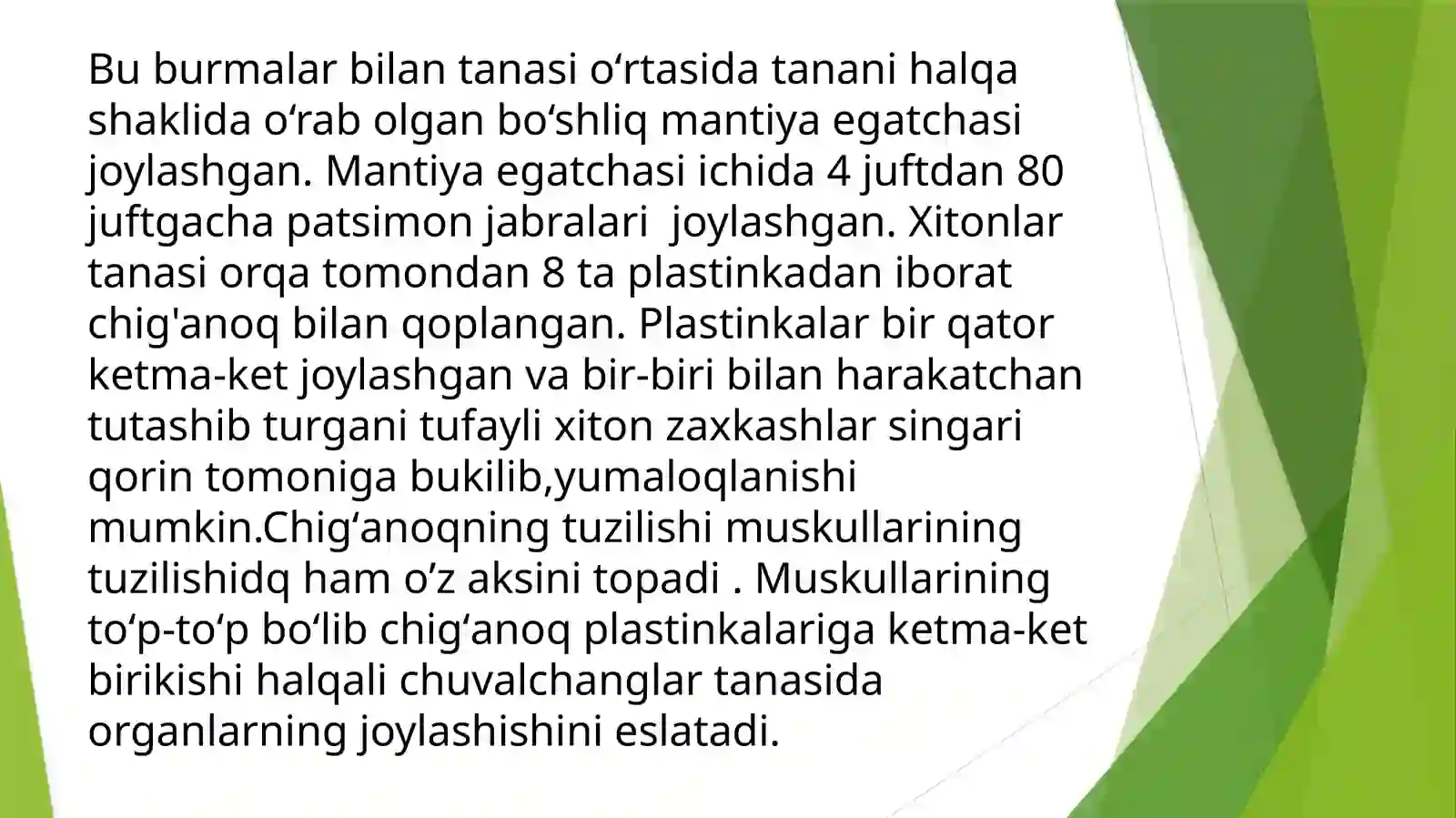 Qalqondorlar yaʼni xitonlar (Loricata, Polyplacophora) sinfi 3