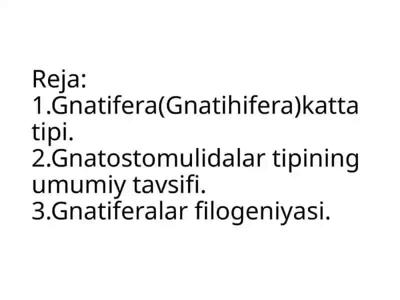 Rahimova Fazilat Zoologiya fanidan tayyorlagan slayd 3