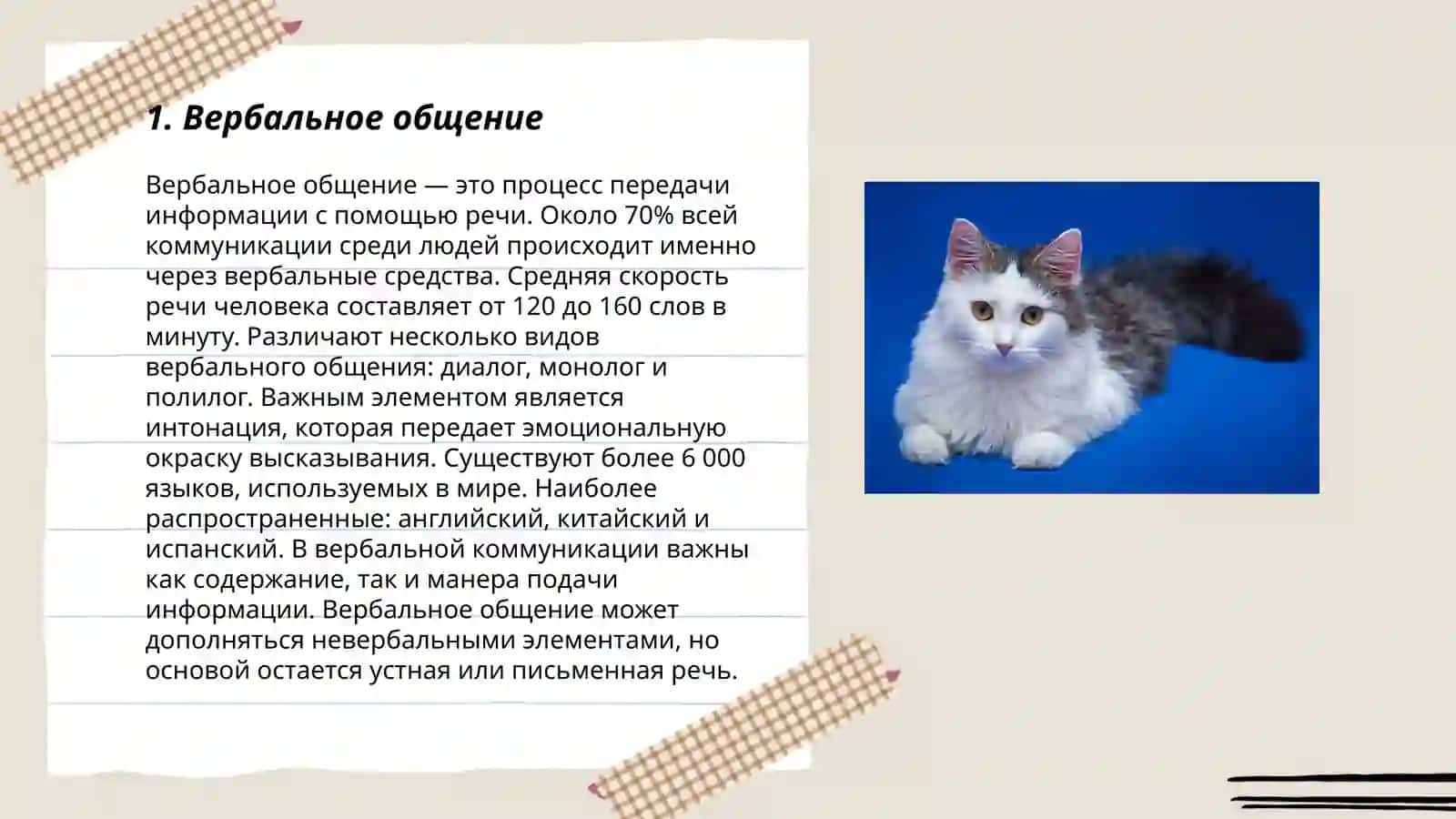 Виды общения. Правила этикета: что хорошо, а что плохо 3