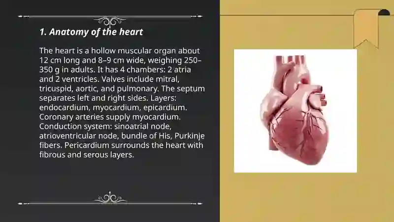 Heart 3