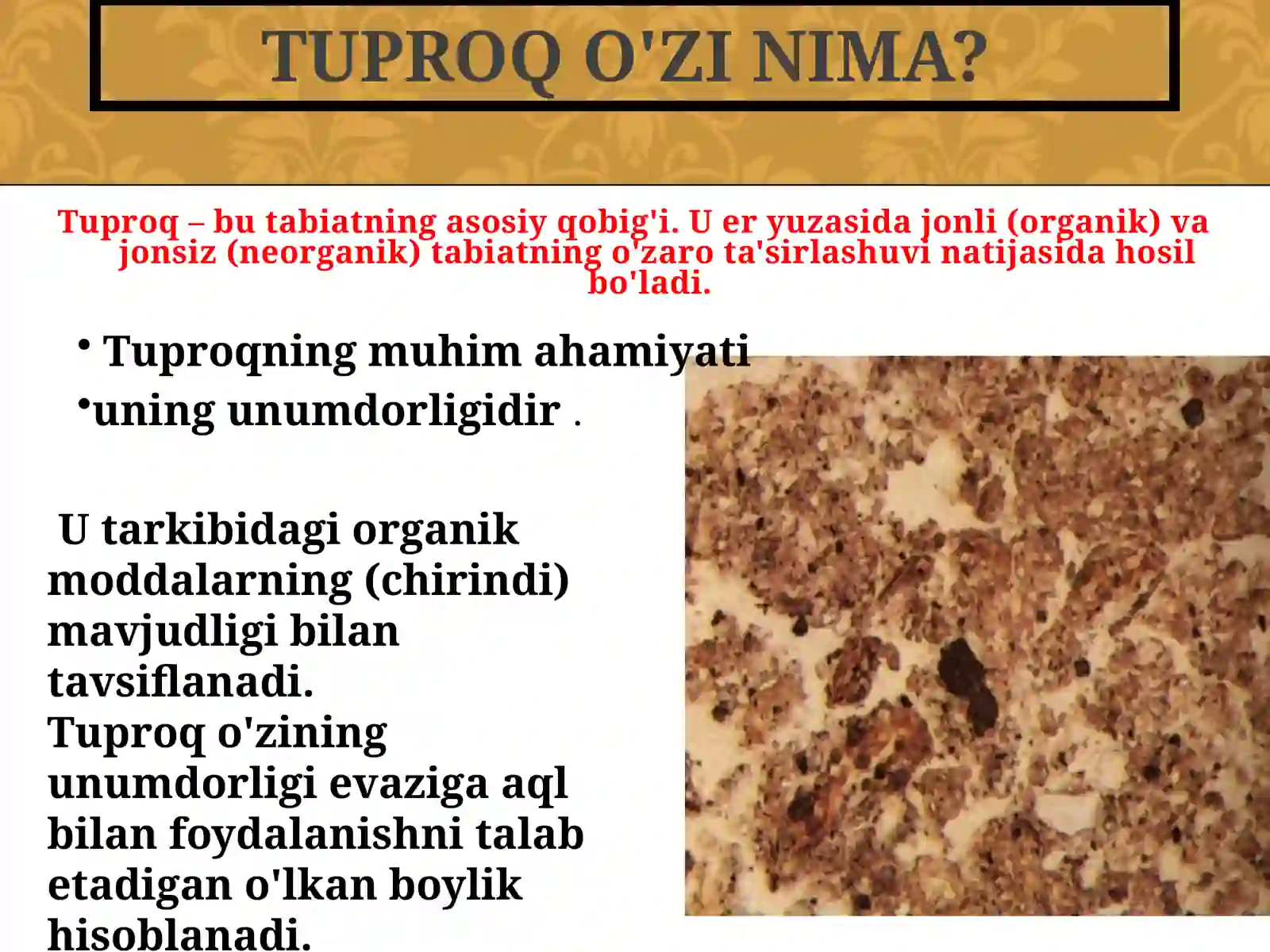 Tuproqshunoslik fanining maqsadi, vazifasi. Tuproqning paydo bo’lish omillari 3