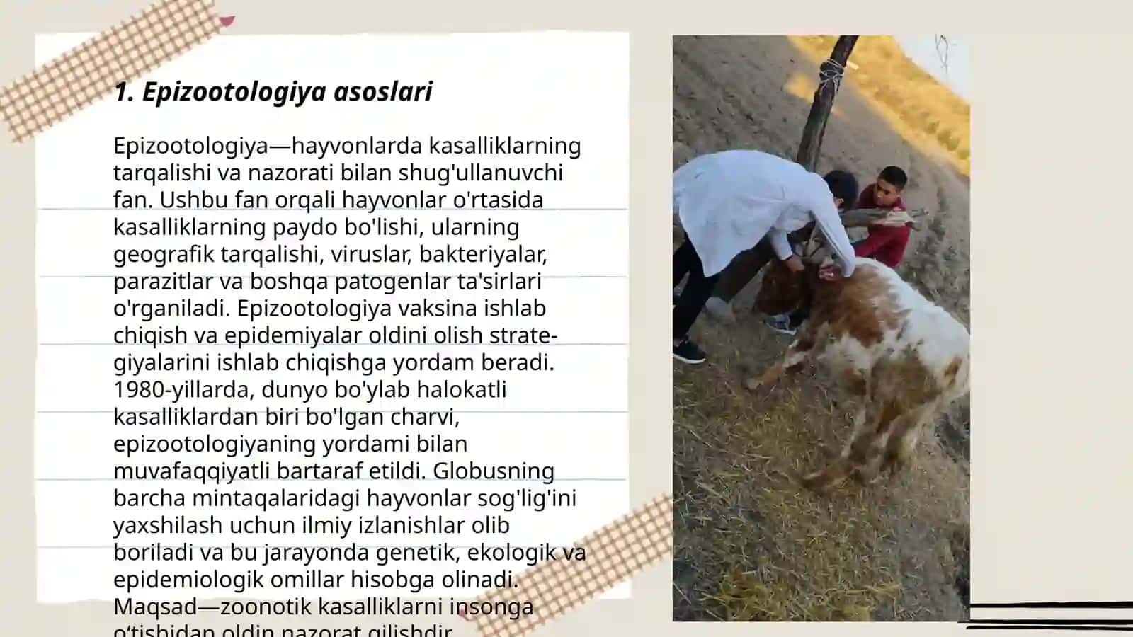 Epizootologiya va infeksion kasalliklar ichki yuqumsiz kasalliklar 3