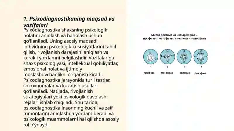 Psixodiagnostika fan va amaliy faoliyat sifatida 3