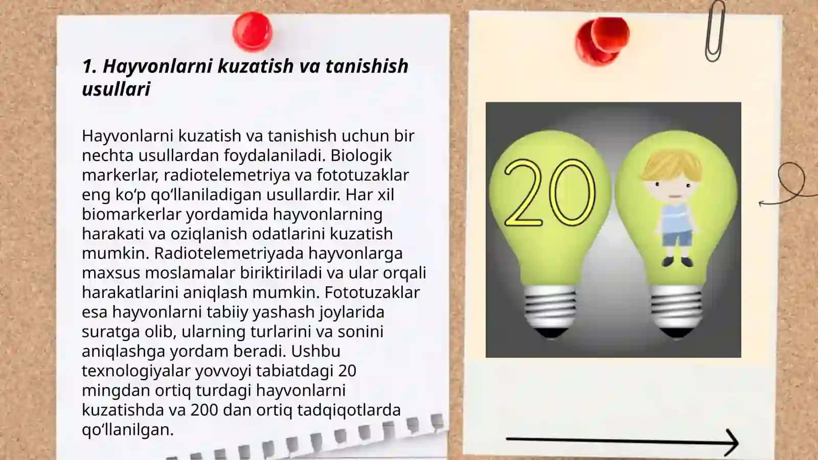 Hayvonlarni kuzatish va tanishish usullari 3