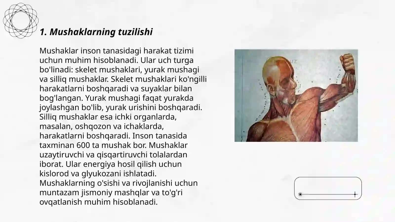 Mushaklarning ishi beomexanikasi 3