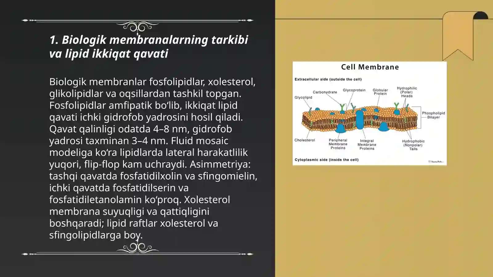 Biologik membranalardagi fizik jarayonlar 3