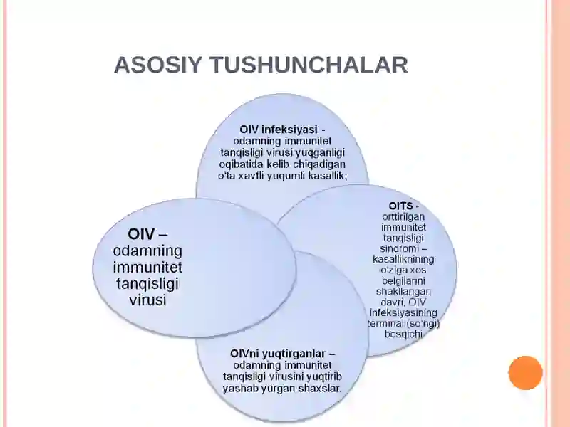 OIV/OITS 3