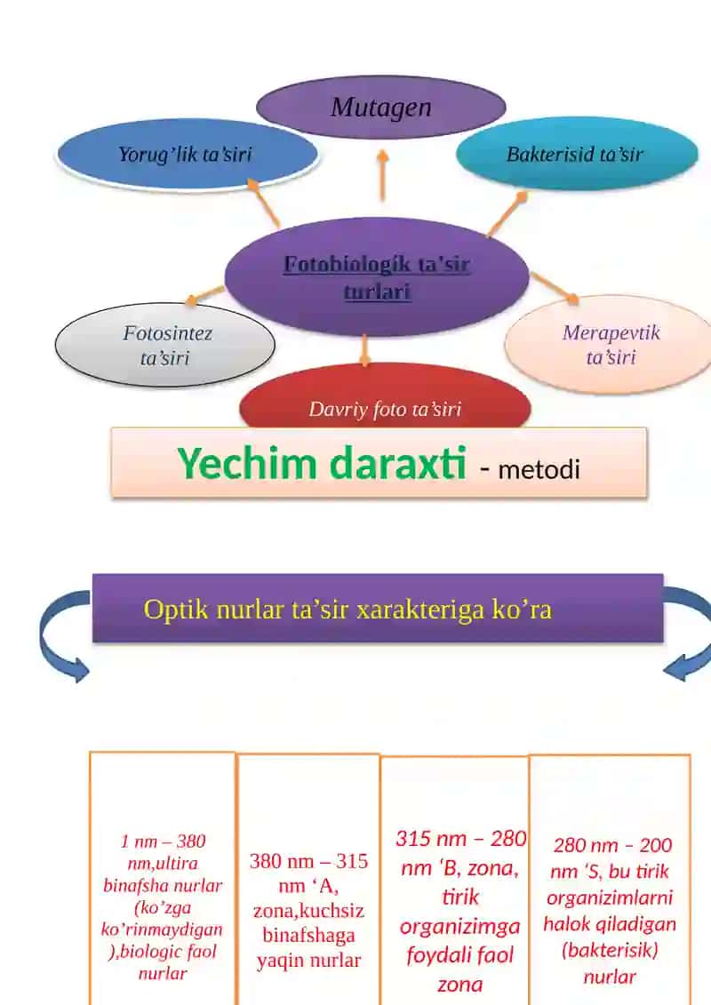 OPTIK NURLARNING FOTOBIOLOGIK TA’SIRLARI. OPTIK NURLANISHLARNING KATTALIKLARI VA O‘LCHOV BIRLIKLARI. 3