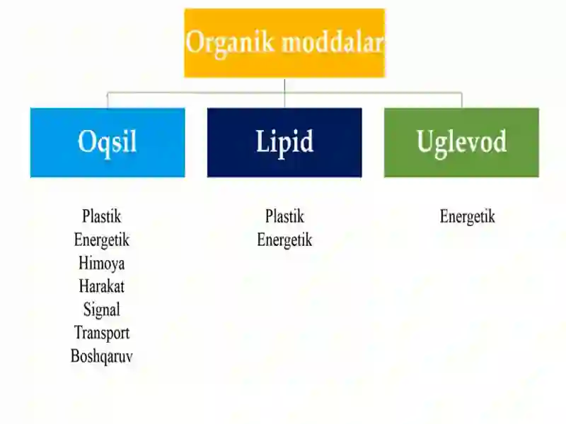 MODDALAR VA ENERGIYA ALMASHINUVI 3