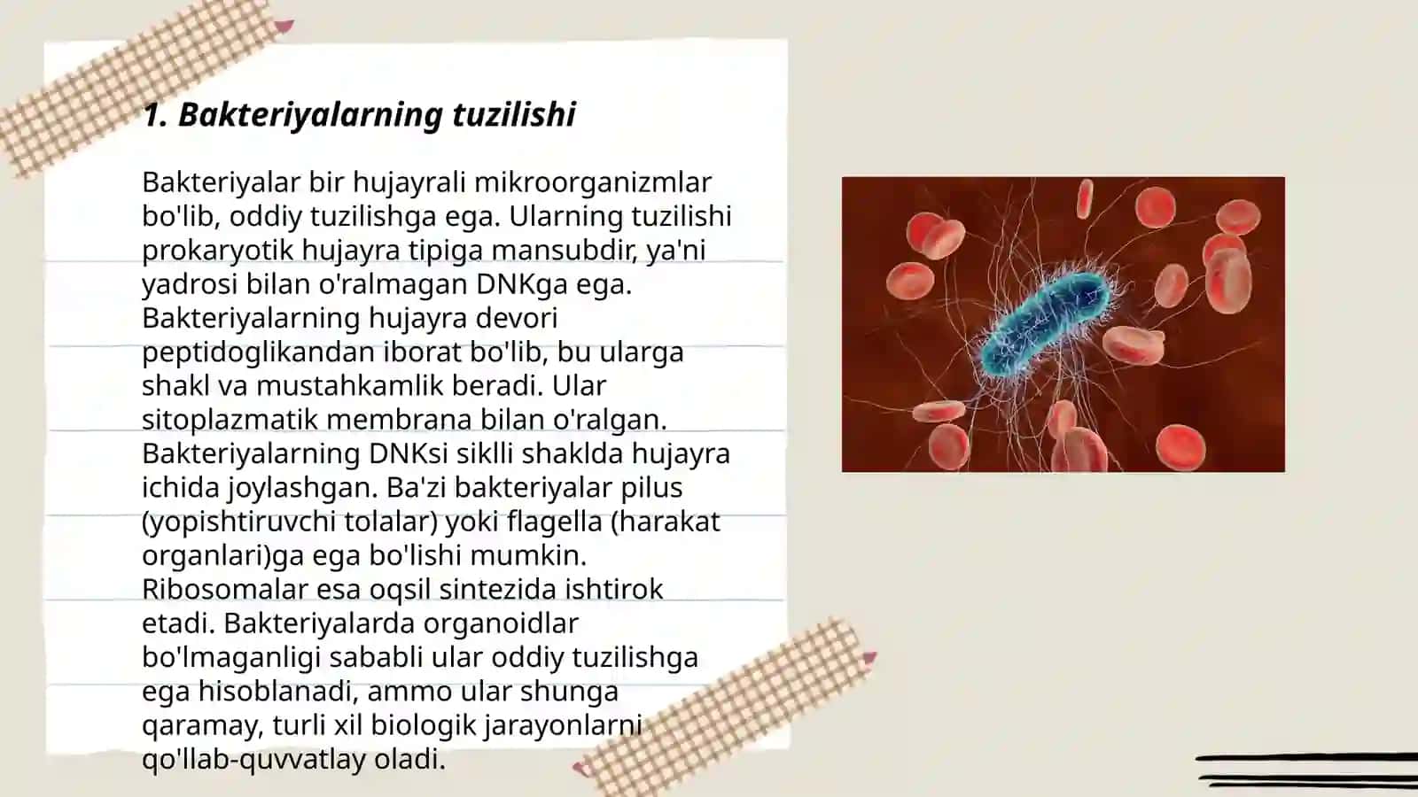 Bakteriyalar, viruslar, zamburugʻlar va ularning tarqalishi 3