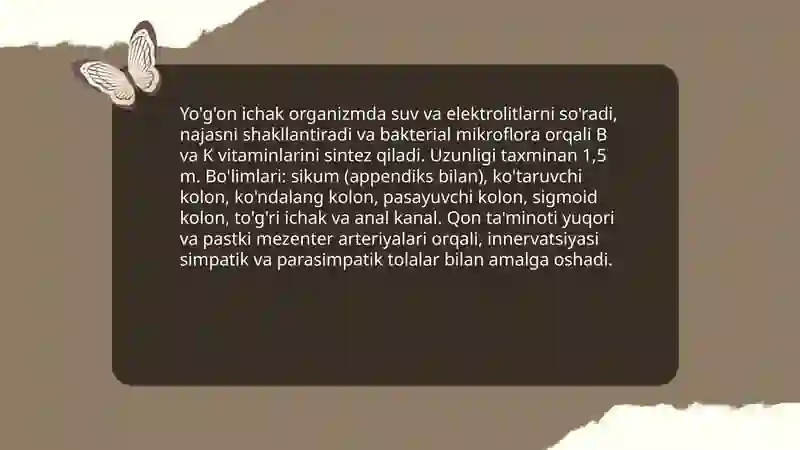 Ichki organlar 3