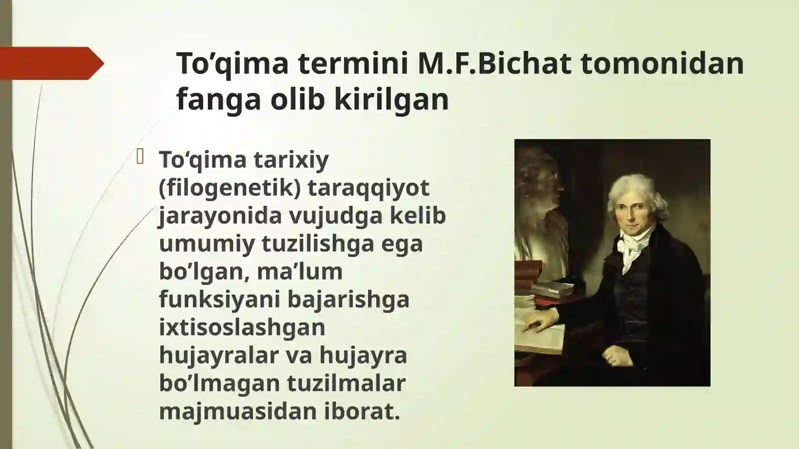 To’qimalar haqidagi ta'limot 3