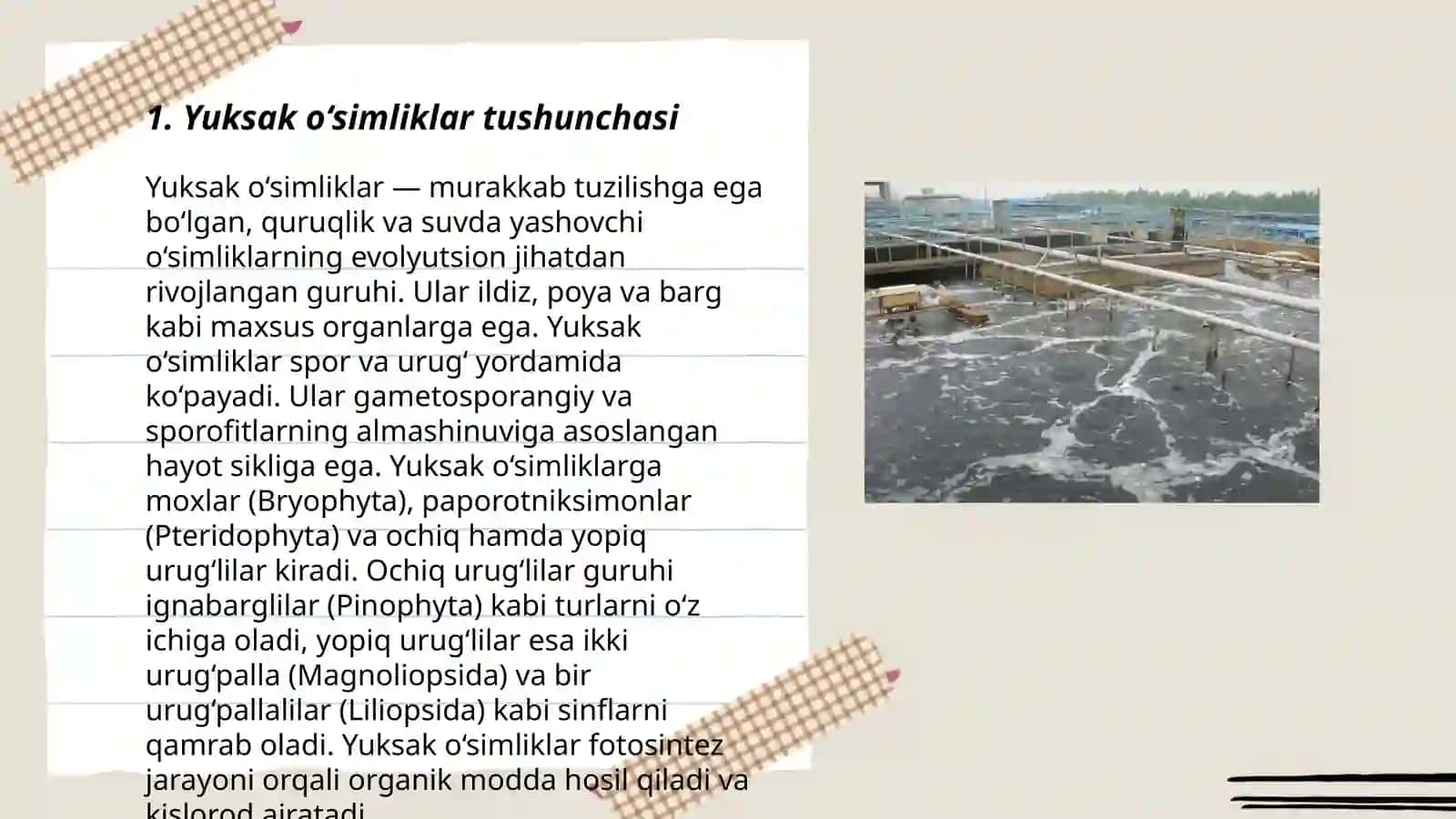 Suv havzalarida tarqalgan yuksak o‘simliklarning sistematik tasnifi 3