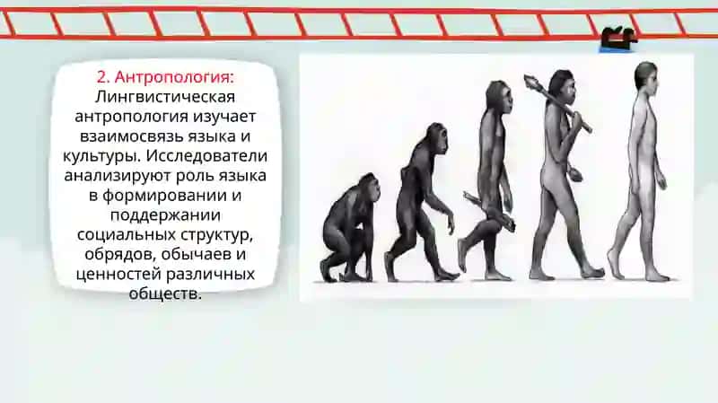 Связь языковеденья с другими науками 3