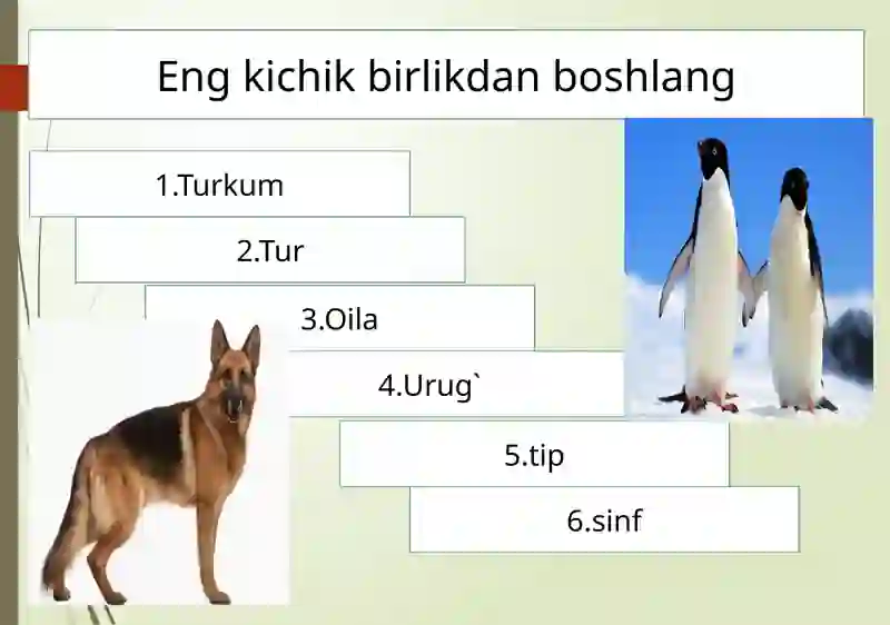 Soxta oyoqlilar sinfi 3