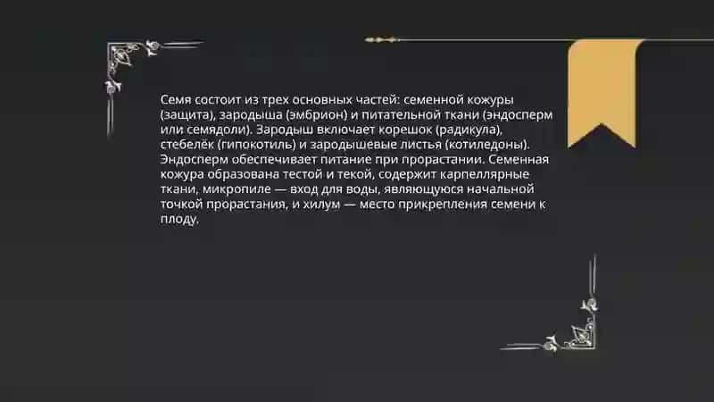 Семя 3