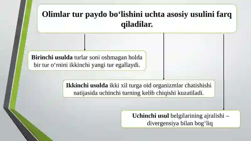 10-sinflarda“Turlarning paydo bo`lishi.”mavzusida 1 soatlik dars ishlanmasi 3