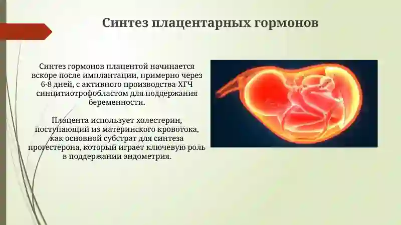 Гормоны плаценты 3