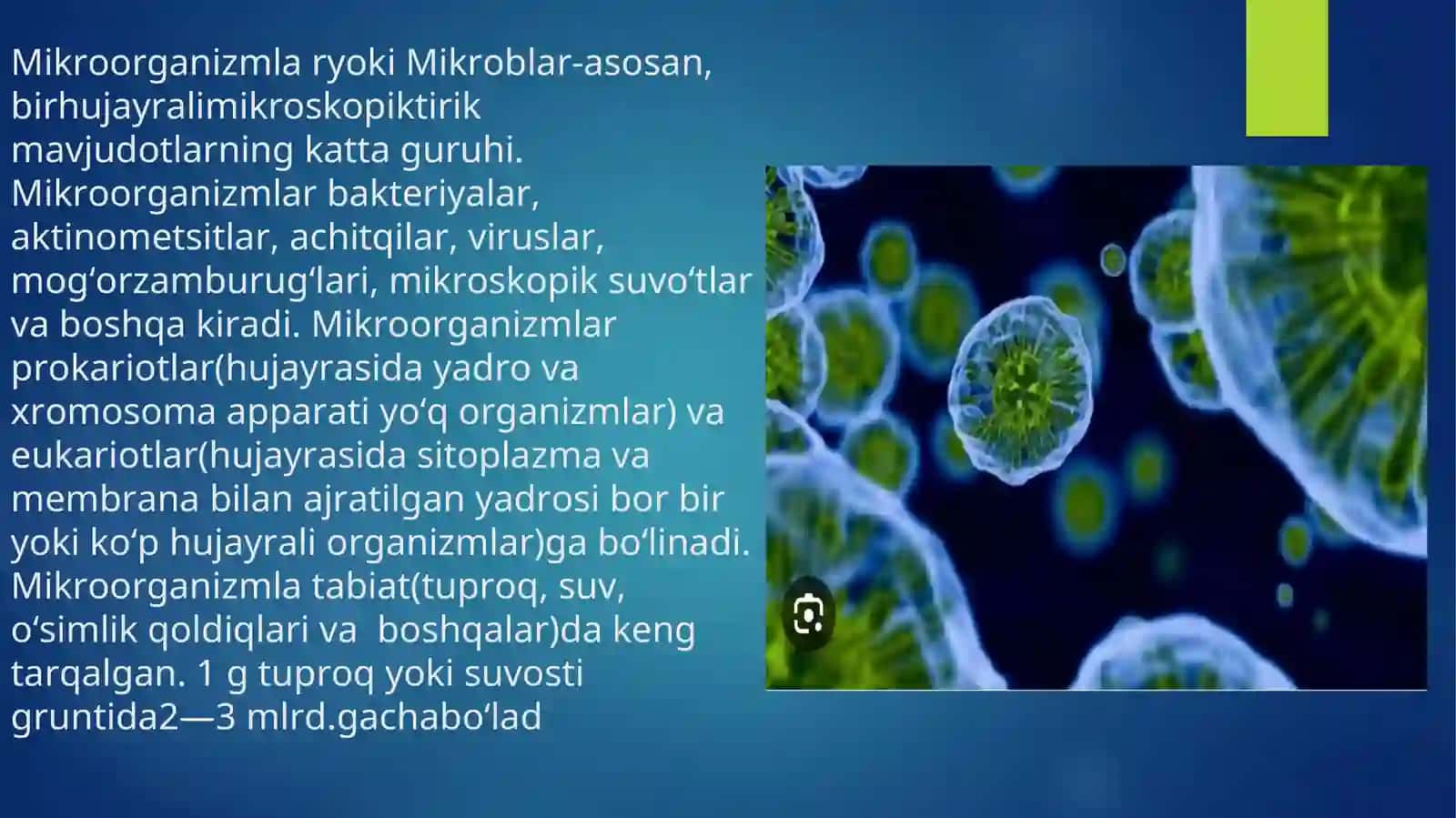 Korenobakteriya,mikobakteriyalarning qo’zg’atuvchilari va patogen spiroxetalar 3