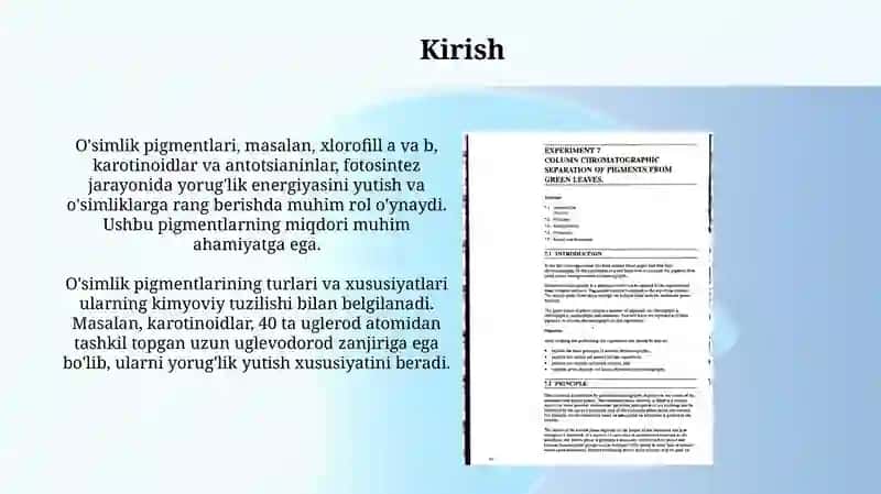 Oʻsimlik pigmentlarini kolon kalixromotografiya usulida aniqlash 3