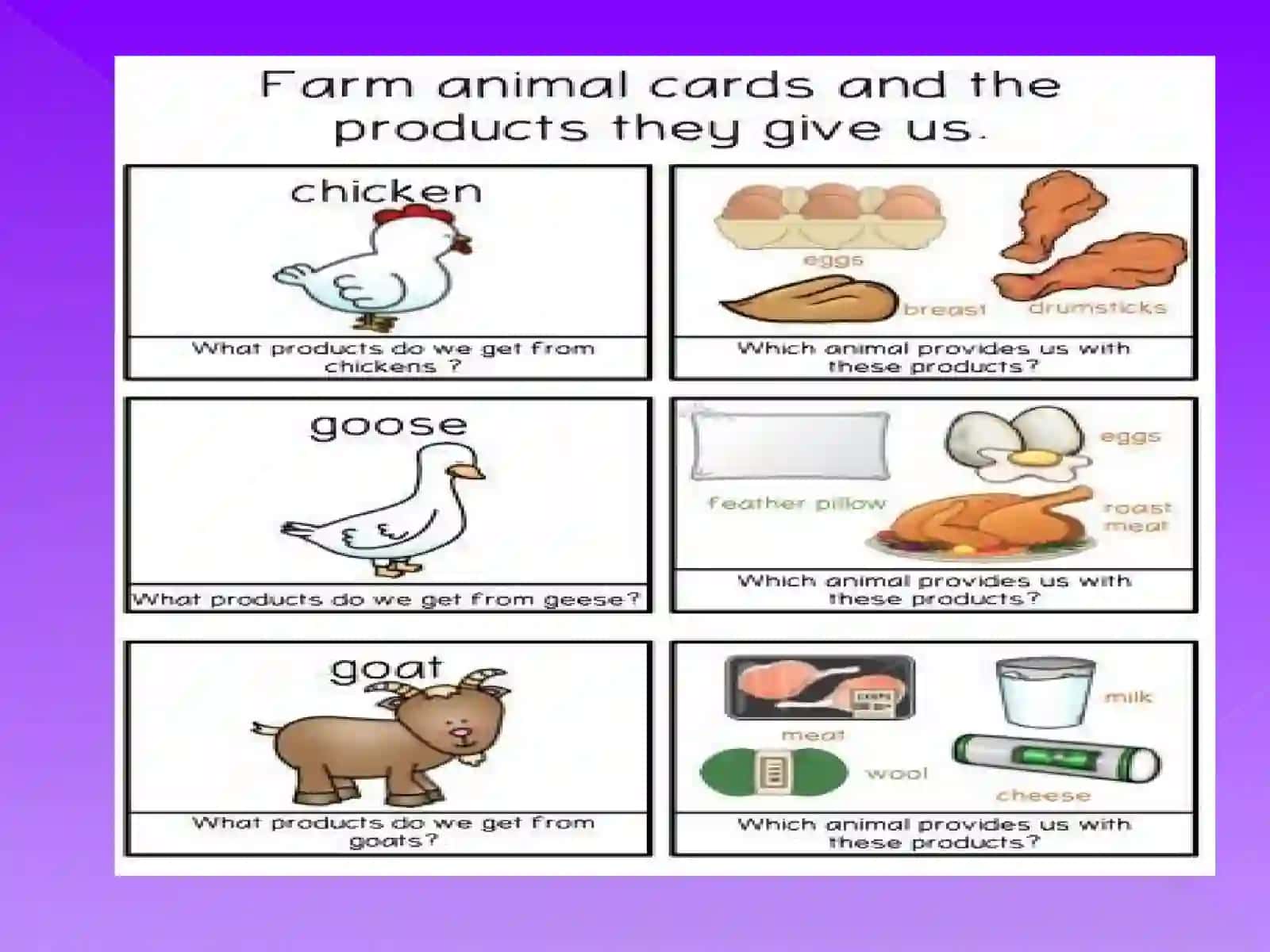 Animalproducts 3