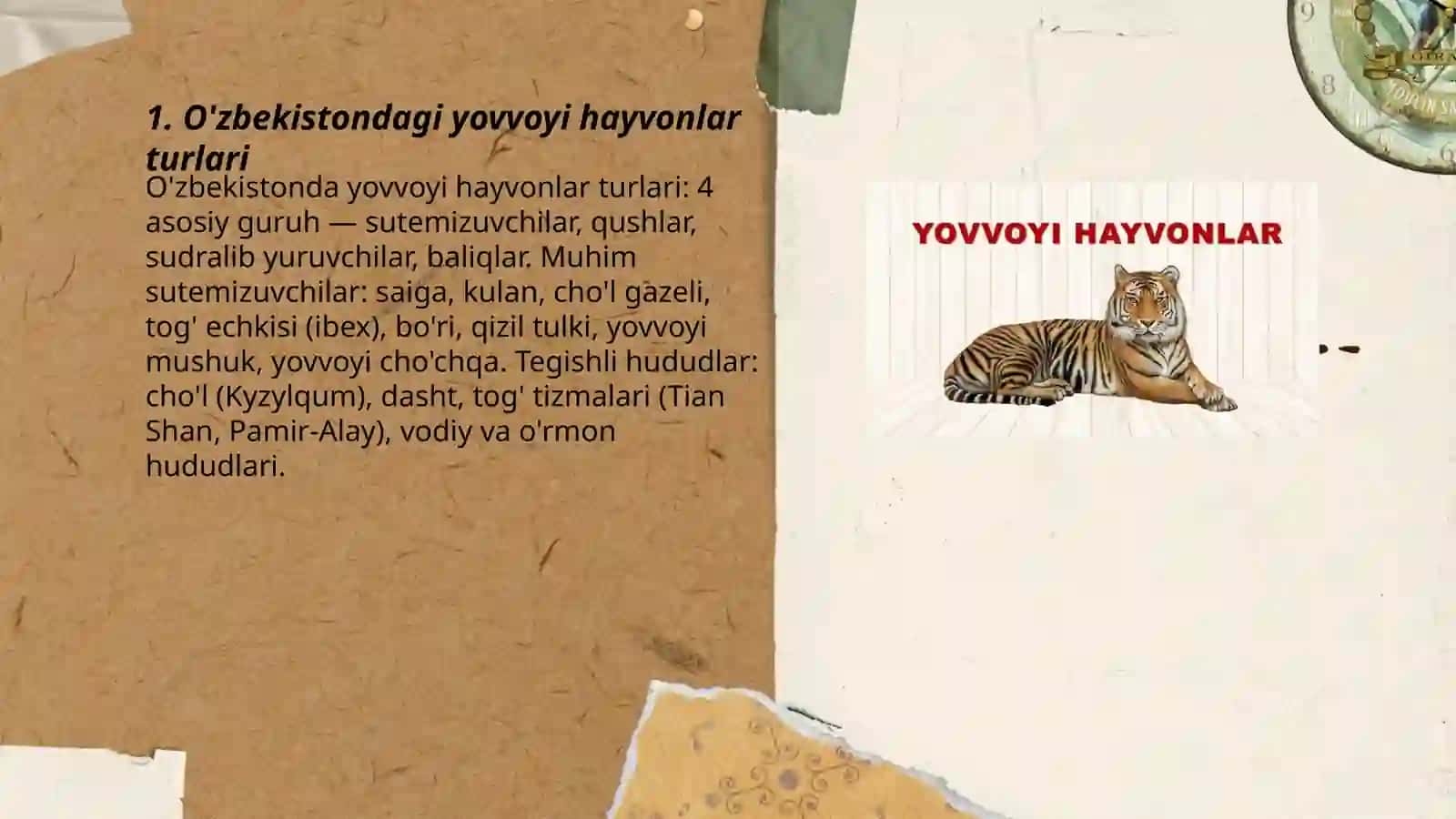 O'zbekistondagi yovvoyi hayvonlar turlari 3