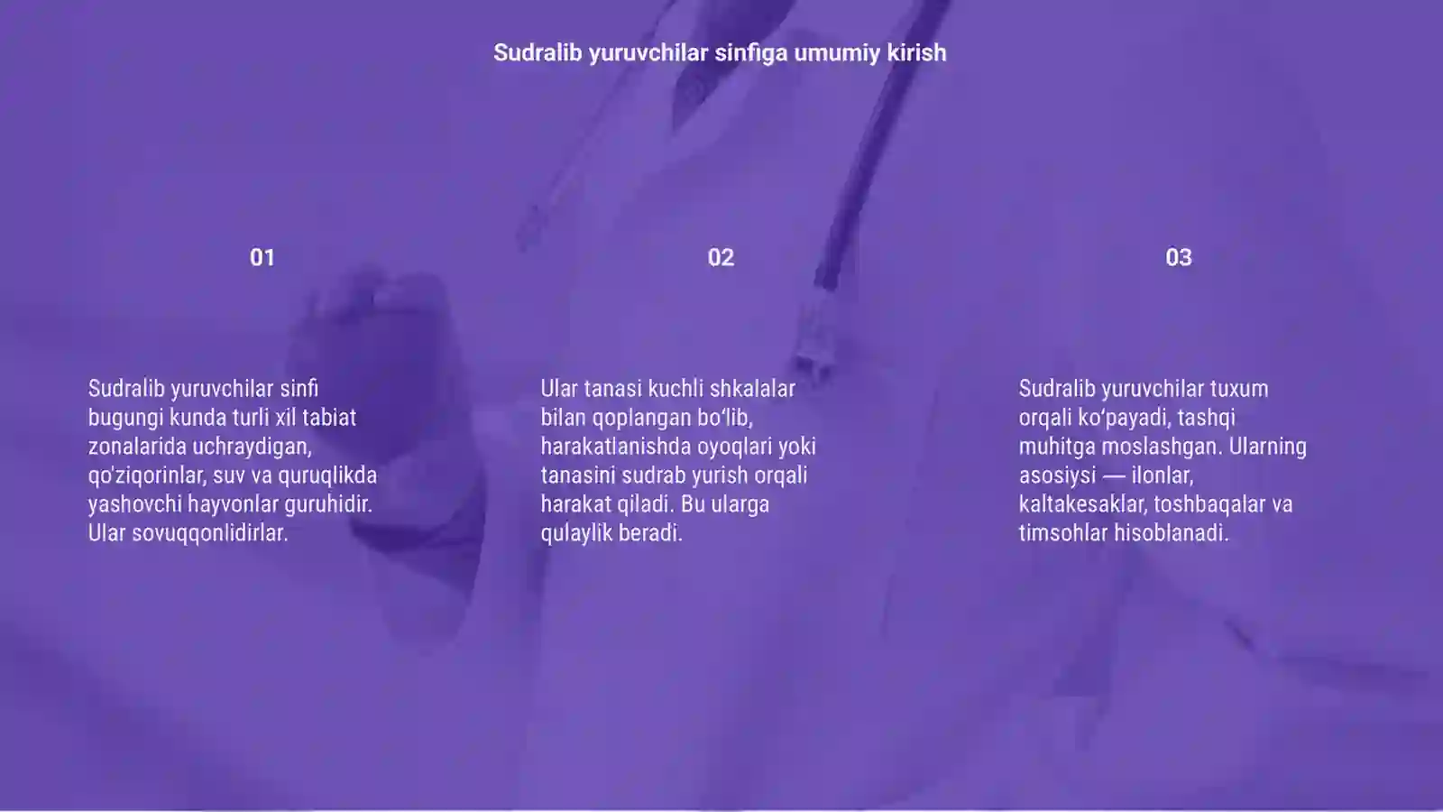 Sudralib yuruvchilar(reptilia) sinfi vakillarining umumiy tavsifi va tashqi tuzilishi 3