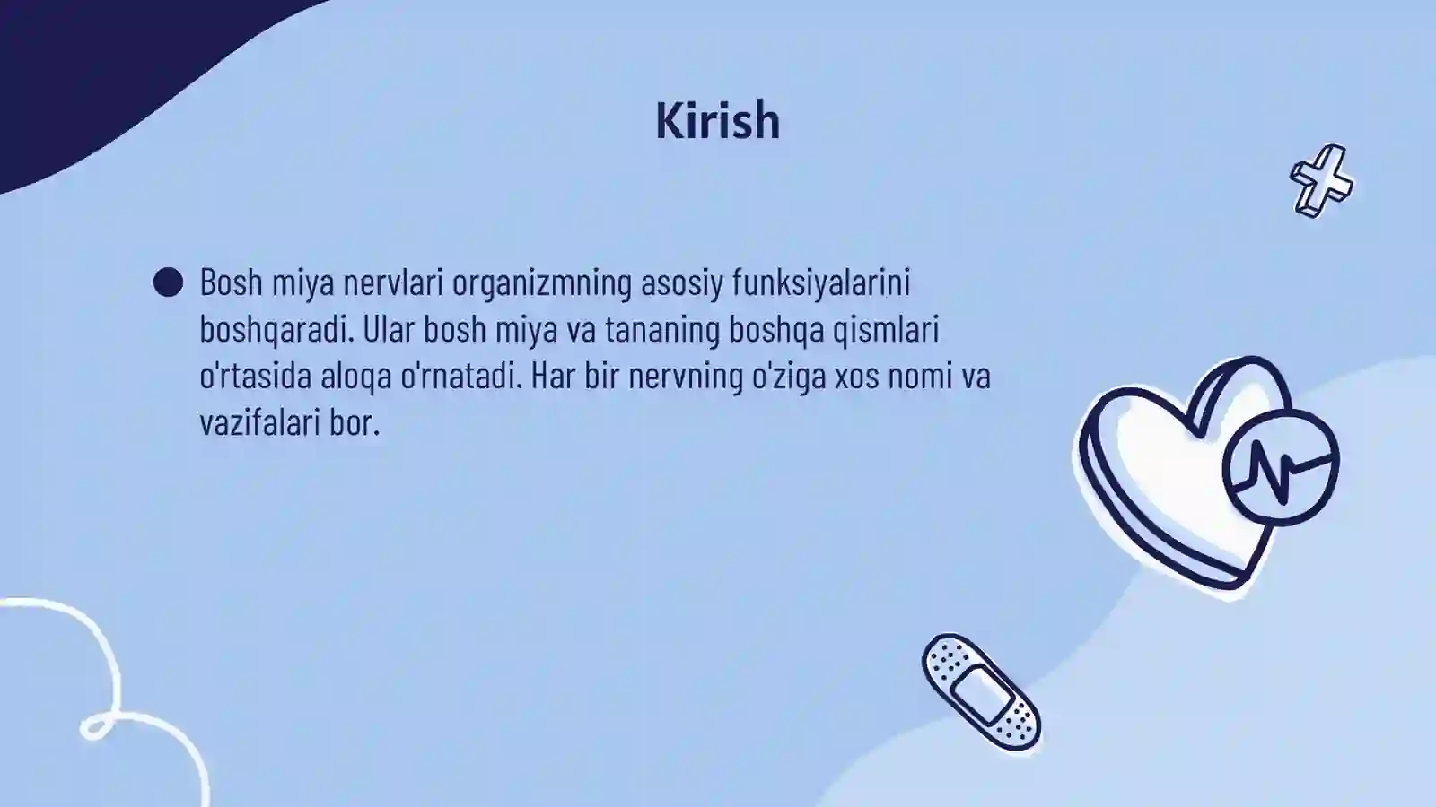 Bosh miya nervlari va ularning nomlari 3