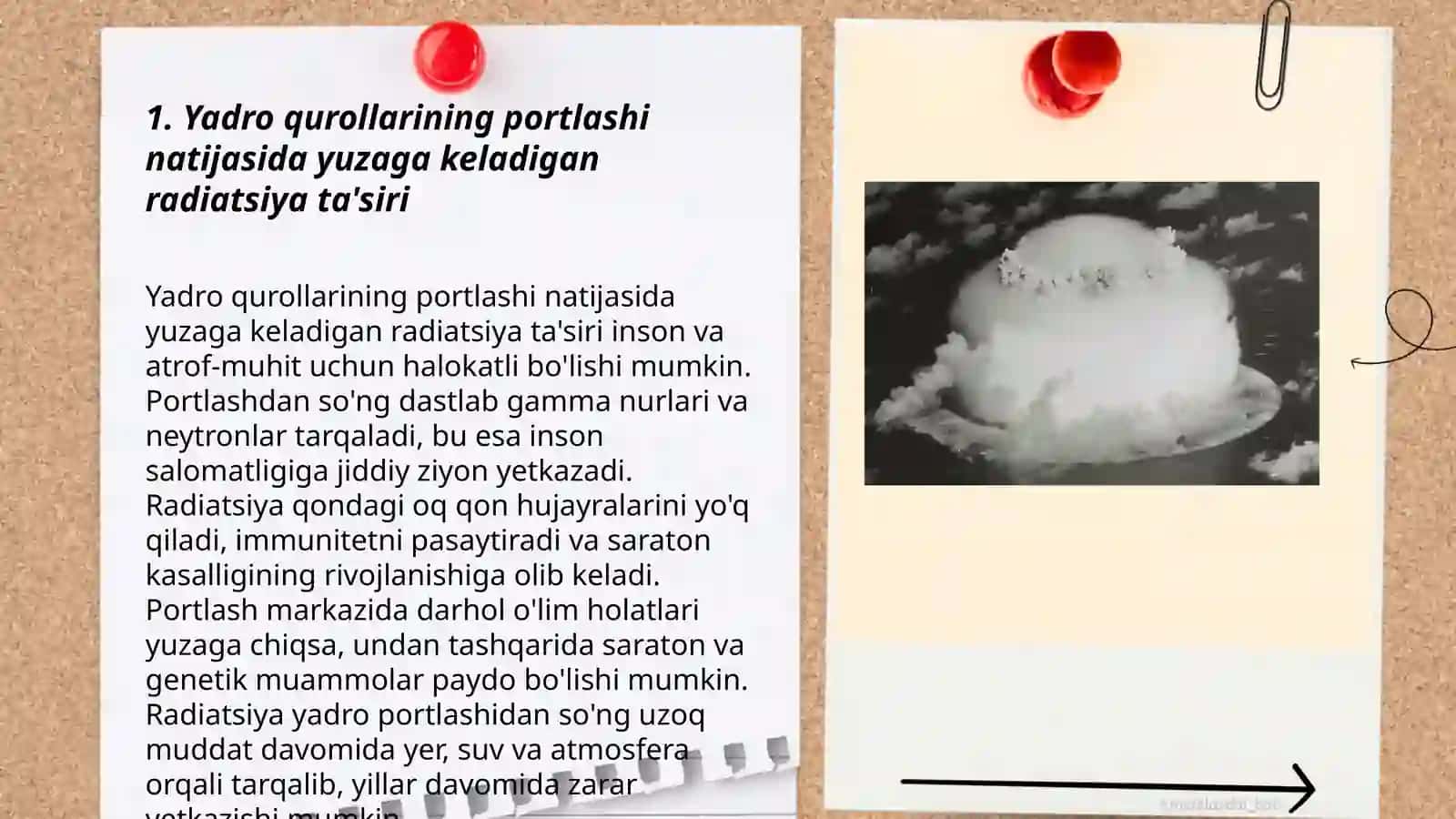 Yadro qurollarining inson hayotidagi zararlari 3