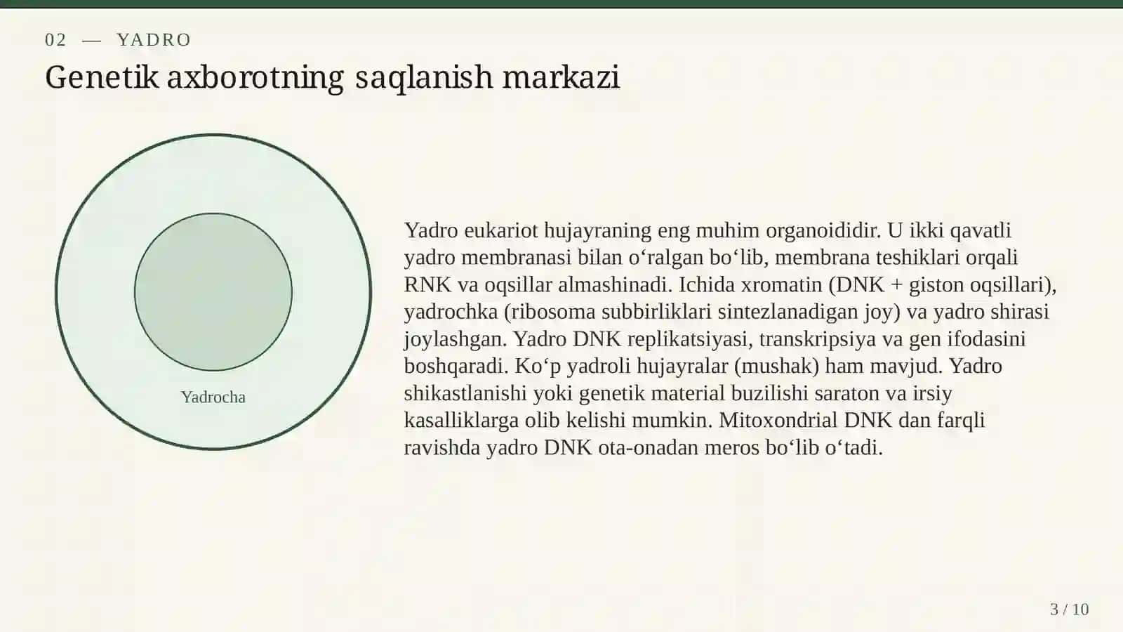 Hujayra organellalari va ularning vazifalari 3