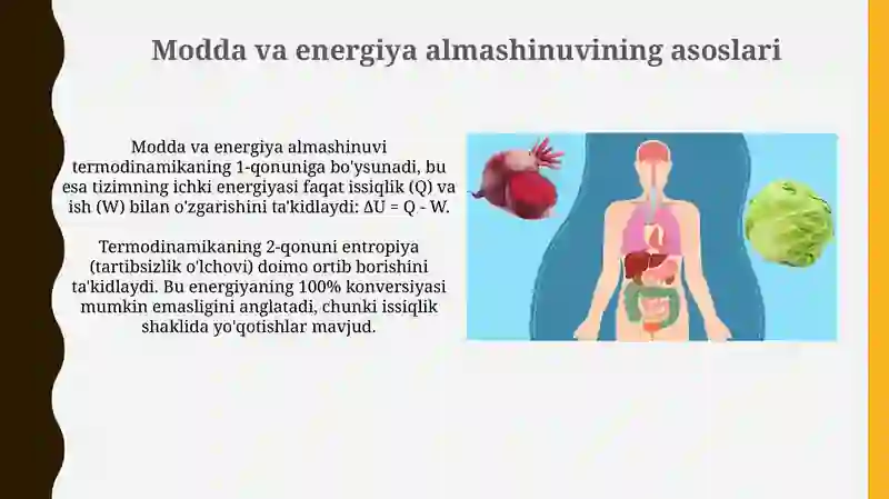 Moddalar va energiya almashinuvi 3