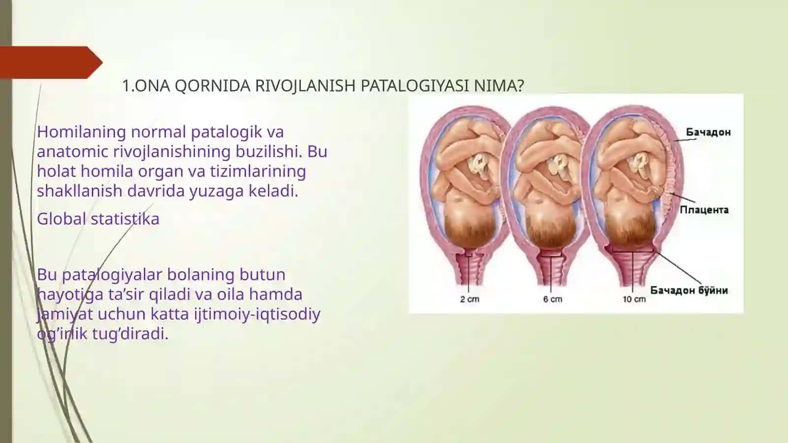 TOSHKENT DAVLAT TIBBIYOT UNIVERSITETI NORMAL VA PATALOGIK FIZIOLOGIYA KAFEDRASI 3