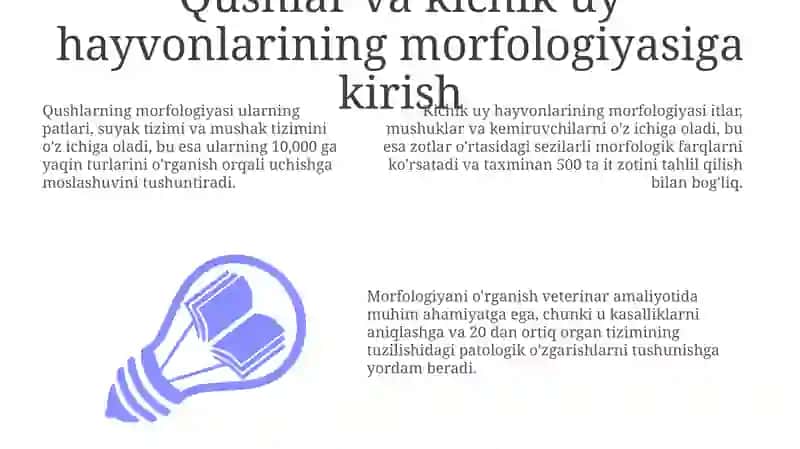 Kichik uy hayvonlarining morfologiyasi 3