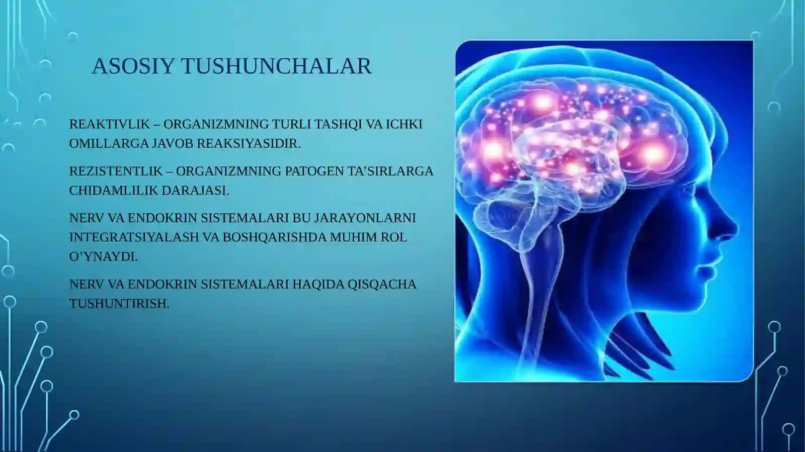 REAKTIVLIK VA REZISTENTLIKNING SHAKLLANISHIDA NERV VA ENDOKRIN SISTEMASINING O’RNI 3