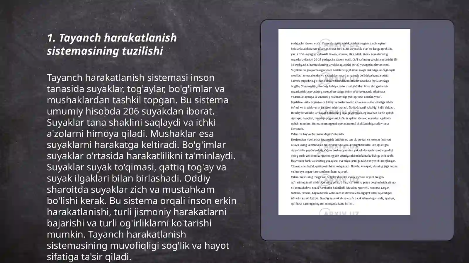 Tayanch harakatlanish sistemasi 3