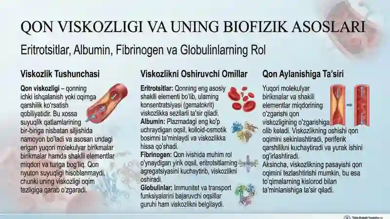 Yuqori molekulyar birikmalar eritmalarining hossalari. Qonning reologik xossalari 3