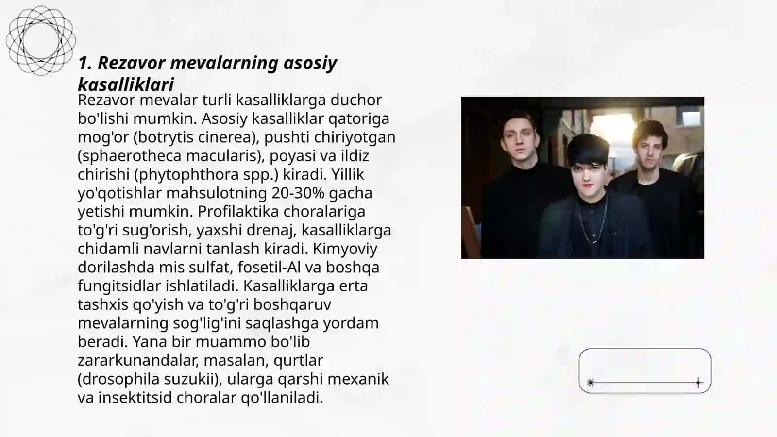 Rezavor mev o'simliklarining kasallik va zararkunandalari hamda ularga qarshi kurashish choralari 3