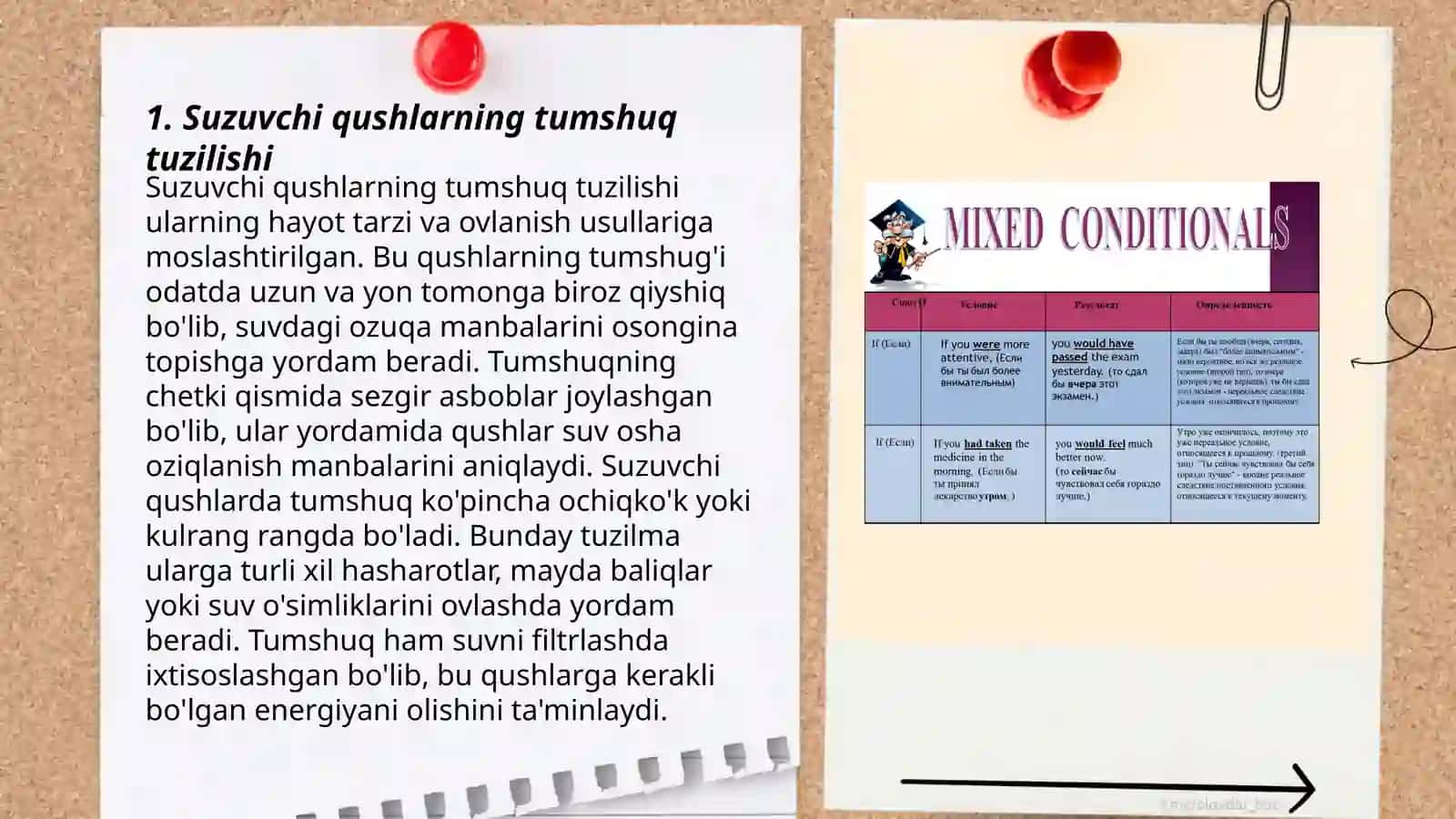 Suzuvchi, uchuvchi, yuruvchi qushlarning yashash sharoitiga bog‘liq tuzilishidagi o‘zgarachaliklar 3