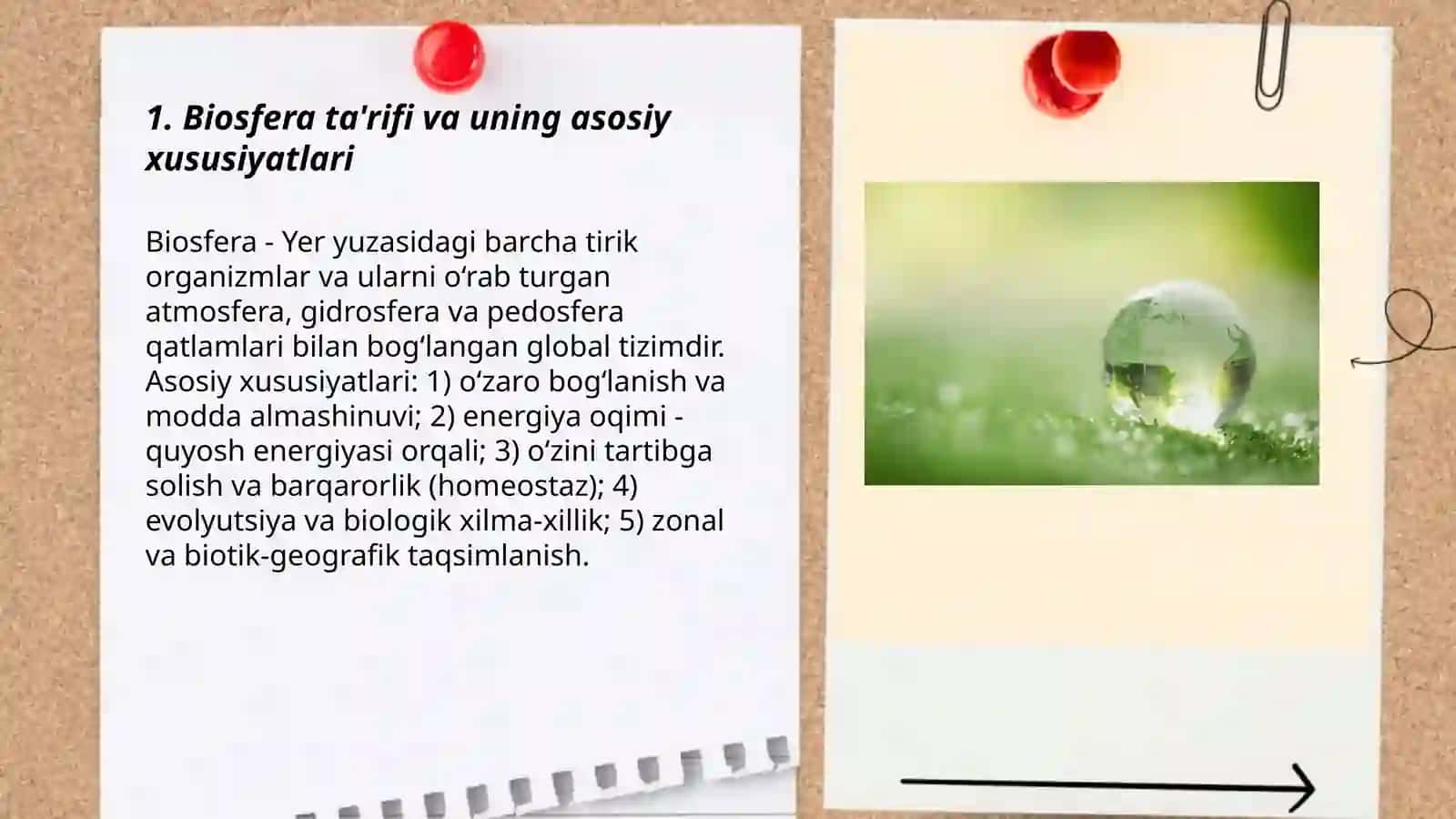 Biosfera ta'rifi va uning asosiy xususiyatlari 3