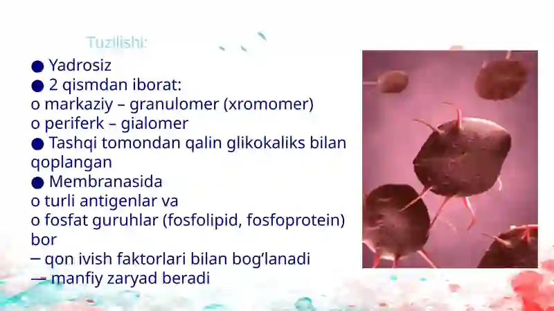 Trombotsitlar 3