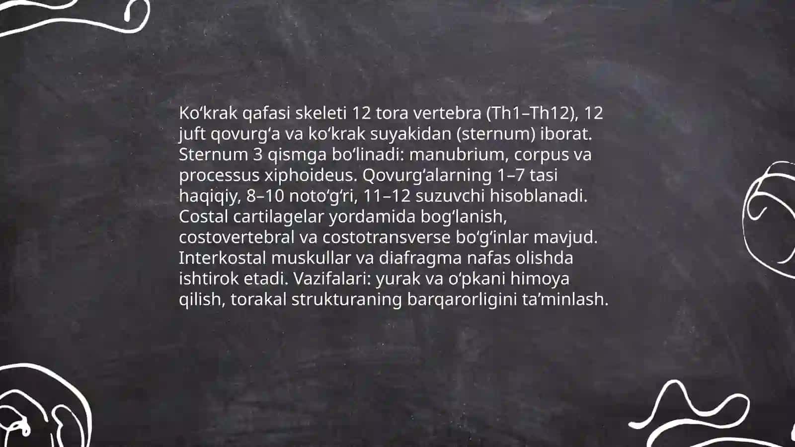 Koʻkrak qafasi 3