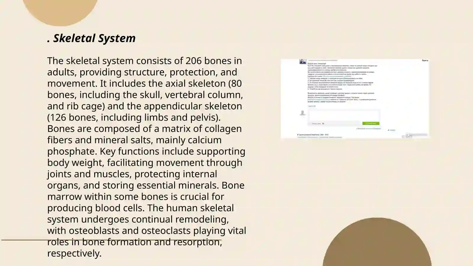 Skeletal System 3