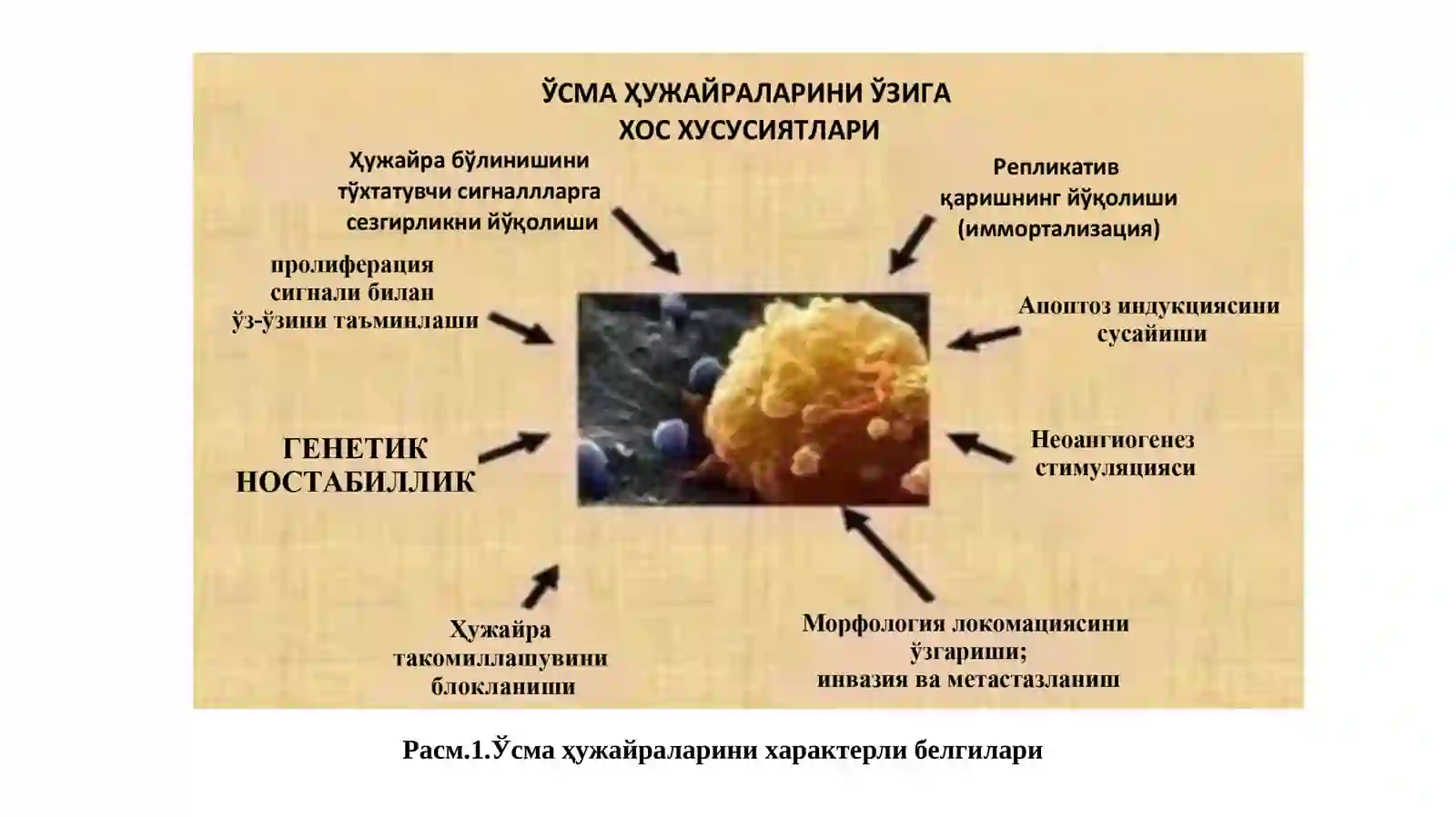 КАНЦЕРОГЕНЕЗ 3